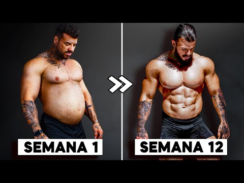 POR QUE OS ABDOMENS SÃO DIFERENTES? 