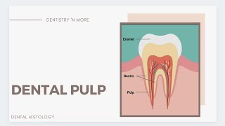 A to Z about DENTAL PULP!