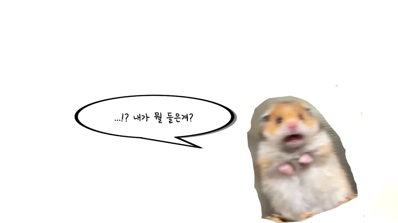 [재업][성우 천송이,황동현,정의진]이게 무슨 소리에요 대체 플린스,일루가 위치가 중요하다니