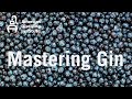 Mastering Gin