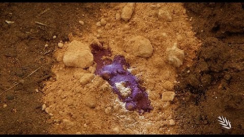 New Calcareous Soil Investment