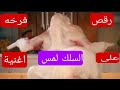 رقص فرخه علي اغنية بوسى ومحمد سعد السلك لمس هتضحك حتي البكاء