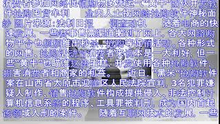 揭网络抢购软件面纱:体系运作 研发销售一条龙