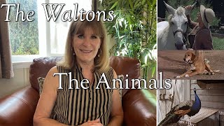 The Waltons  The Animals   behind the scenes with Judy Norton