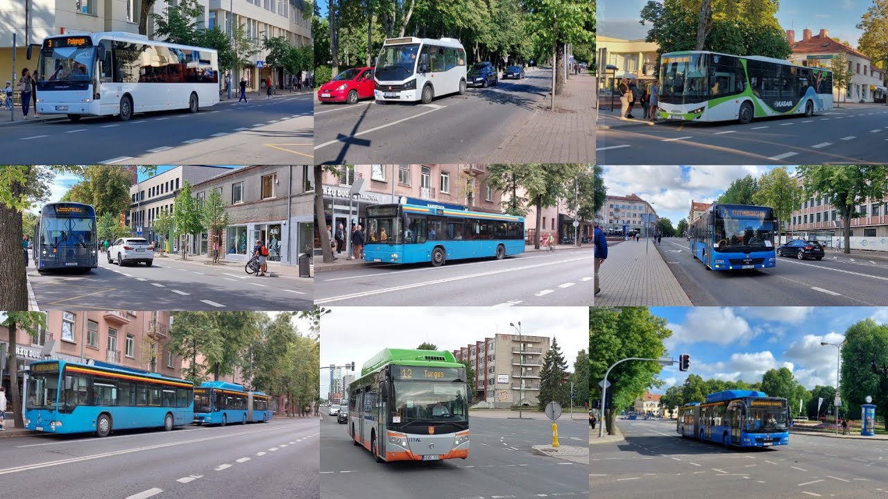 Паланга, Клайпеда, автобусы, электробус. VDL, Karsan, Isuzu, Dancer, MAN, Mercedes, Volvo, Castrosua