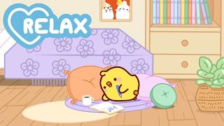 Relájate con Molang y Piu Piu ✨ Momentos tiernos