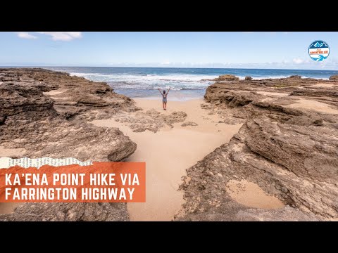 Vidéo: Kaʻena Point State Park : le guide complet