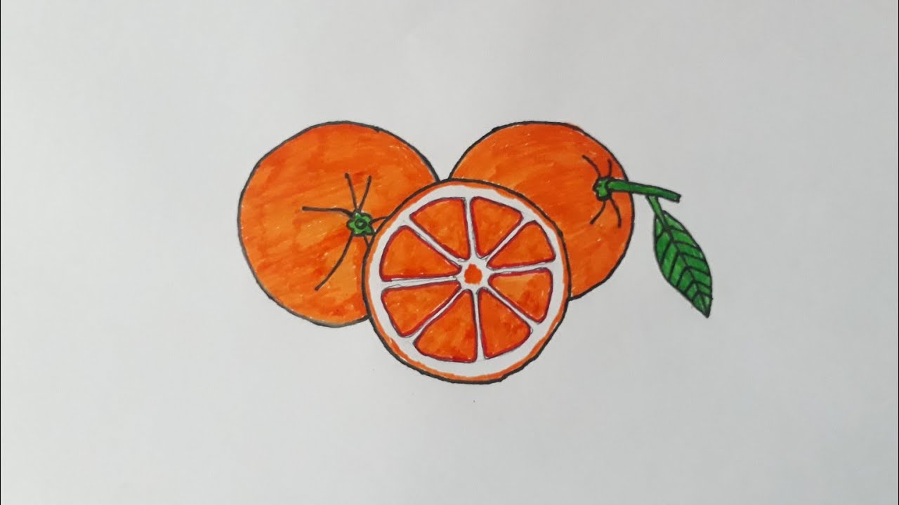 Orange Slice Drawing Images – Browse 169,868 Stock Photos, Vectors, and  Video | Adobe Stock