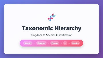 Taxonomic Hierarchy Explained: Kingdom to Species Classification for Beginners
