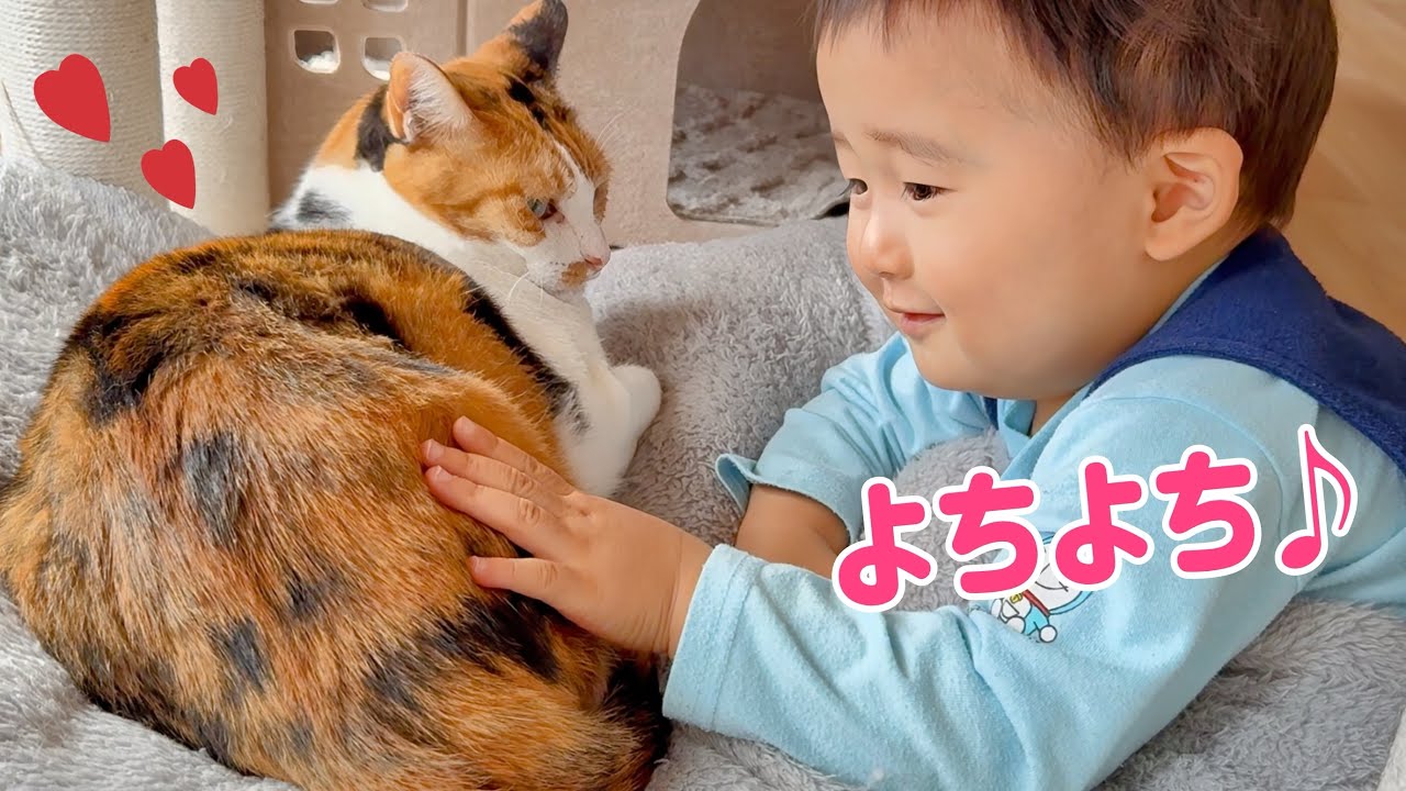 保護猫20匹の実家へ‼︎ 猫と赤ちゃんの距離が尊い💓 - YouTube