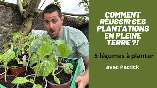 Nouvelles PLANTATIONS de 5 légumes en PLEINE TERRE dans le POTAGER!