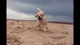 Happy Friday :)