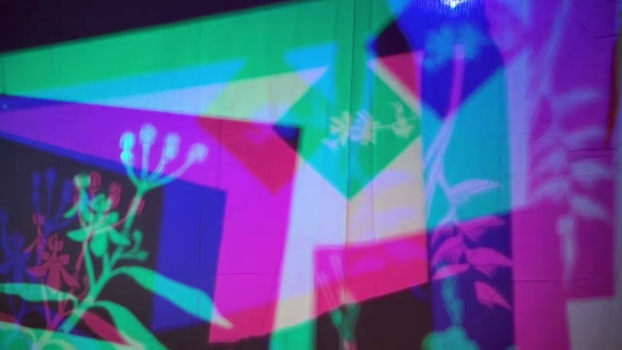 Kaleidoscope Realm installation by artist Gregory Dirr