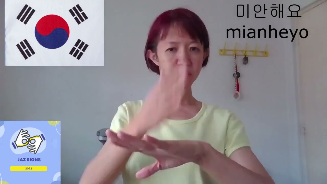 Some of the most important words & how do you sign them in Korean Sign Language and ASL | Jaz Signs