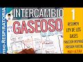 INTERCAMBIO DE GASES, Principios Físicos, Gasometría nivel del Mar y ALTURA |Fisio-Respiratoria|1