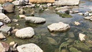 Water collection system at Blue Ash's Summit Park saving environment, reducing costs