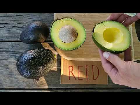 Video: Avocado din stuf este bun?