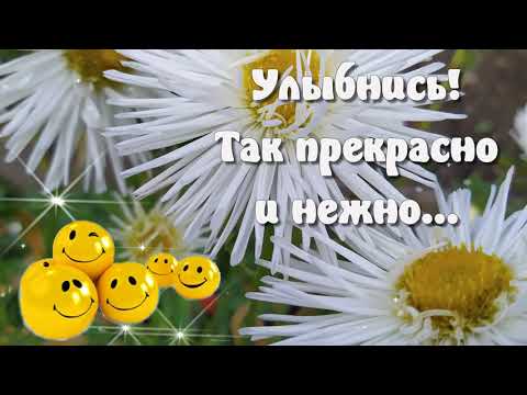Улыбнись! ❤️Так прекрасно и нежно... ❤️Красивая музыкальная открытка❤️