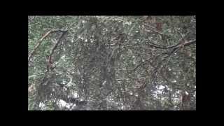 Gravity and Fluid Dynamics: Raindrops Falling Wealth
