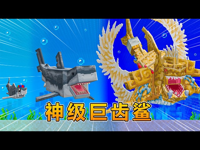 我的世界：神级巨齿鲨进化挑战！ #我的世界 #minecraft #阿焱游戏解说