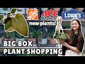 Lets go big box store plant shopping 3 locations  new shipments  plant haul 