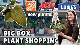 Let's Go Big Box Store Plant Shopping! 3 Locations & New Shipments + Plant Haul 🪴📦