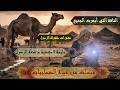 قصة حليمة السعدية مرضعة الرسول ومعجزات الناقة والحليب قبسات من حياة الصحابة