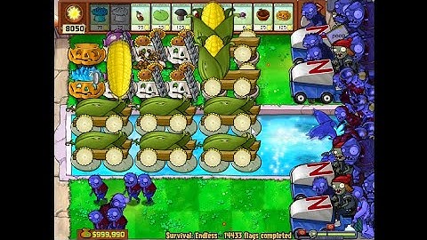 Rectangle 8 Cob Setup | Survival Endless