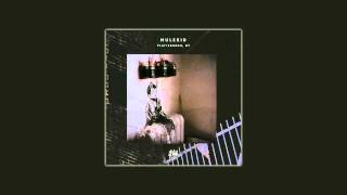 MULEKID - Plattsburgh, NY