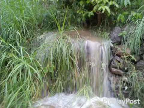 زفه يافعيه بصوت المرحوم سالم سعيد البارعي