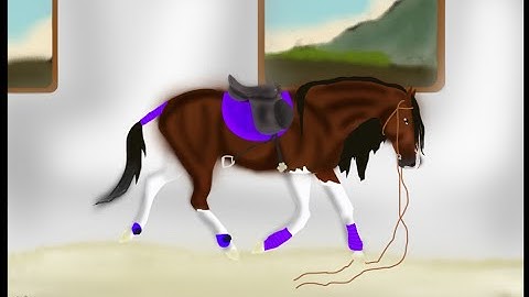 how to add picture to sketchpad