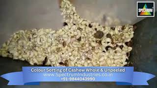 Efficient Colour Sorting of Whole & Unpeeled Cashew