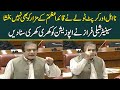 Corrupt, disqualified lot desecrated Quaid-e-Azam Mausoleum | Furious Shibli Faraz speech in senate