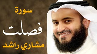 سورة فصلت مشاري راشد العفاسي