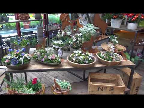 Cartoline da Neustift: il giardino di Neustift è Blumen Mayr