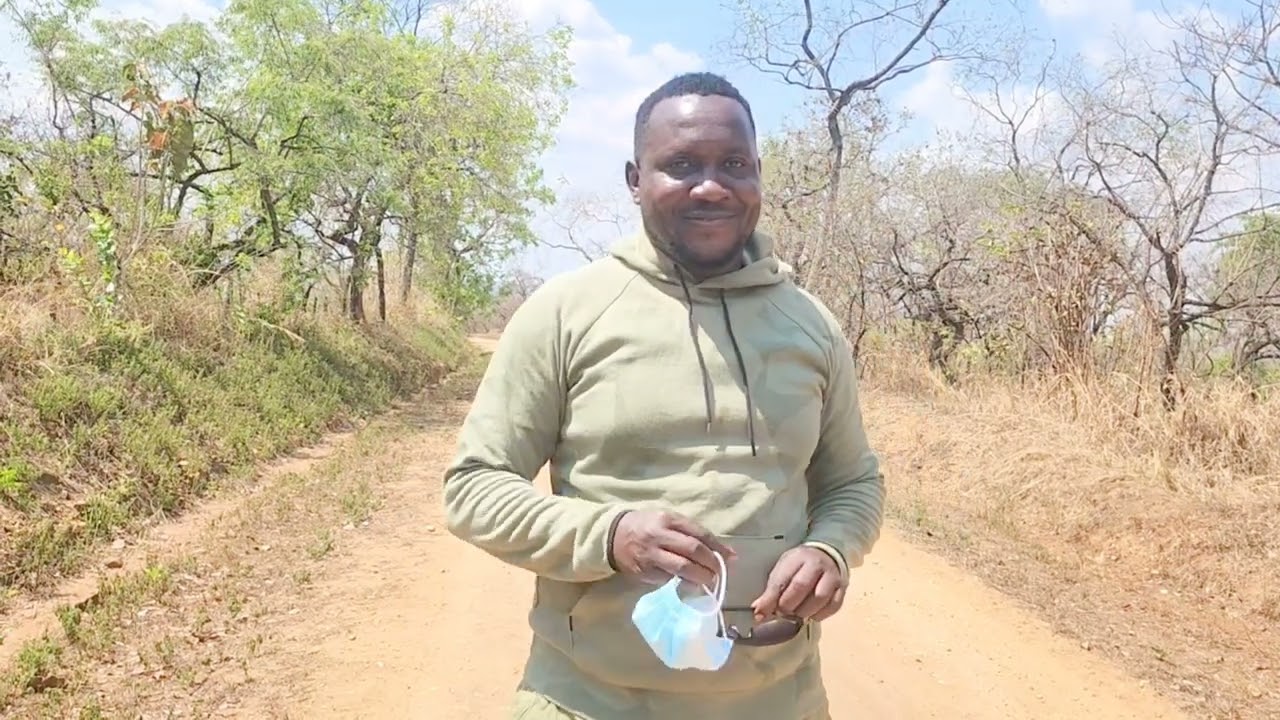 This is how Acholi lost their most precious land with tree unique tree species and rare plants 