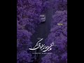 دلم و کجا میبری
