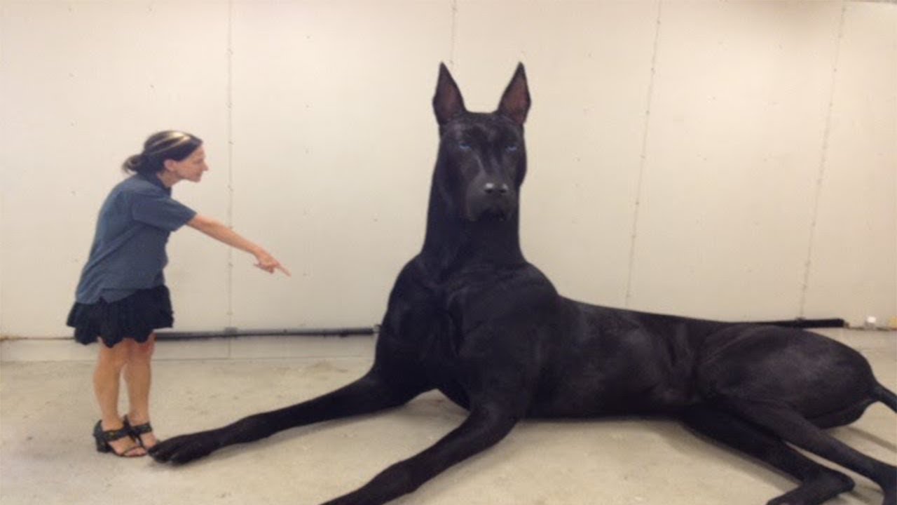 15 ANIMAIS GIGANTES QUE REALMENTE EXISTEM