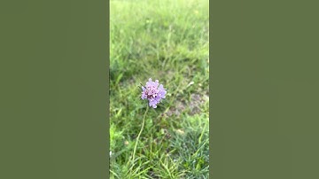 Spotify ejects thousands of AI-made songs in purge of fake streams - News #30725