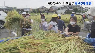 実りの秋を前に　子どもたちが稲刈りを体験　愛知・岡崎市(2022/8/30)