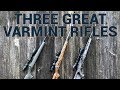 Three Great Varmint Rifles