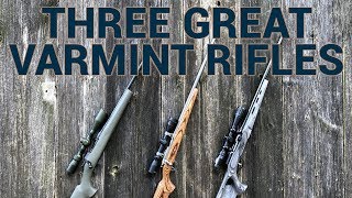 Three Great Varmint Rifles