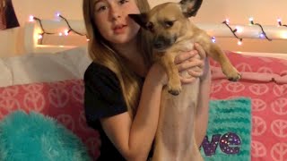 Question & Answer (Q & A) #2 by Samantha Potter