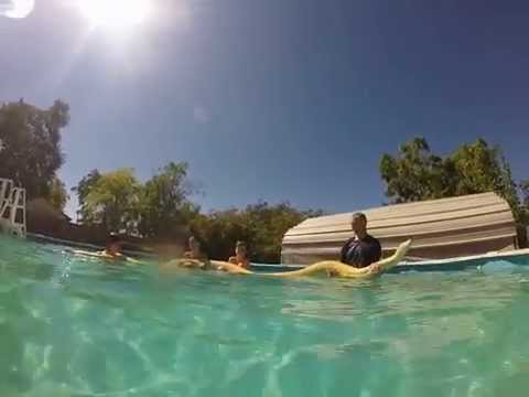 Swimming with Burmese python underwater