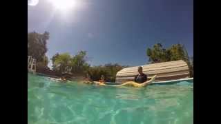 Swimming with Burmese python underwater