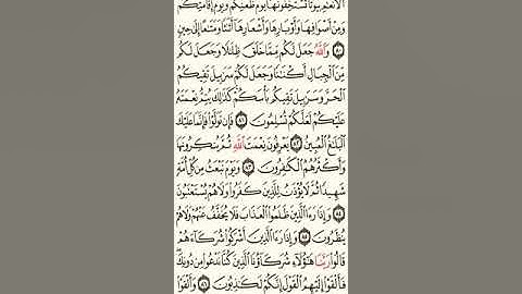 سورة النحل الآية ٨٠ إلى الآية ٨٧ الشيخ إبراهيم الازهري