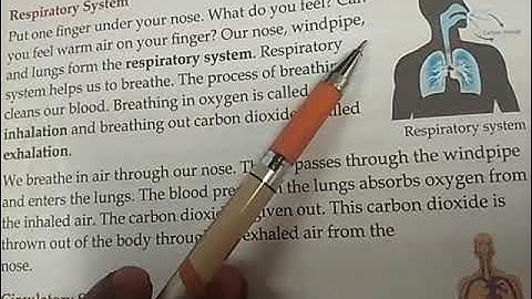 STD 3, 4 & 5 - SCIENCE BRIDGE COURSE - OUR BODY