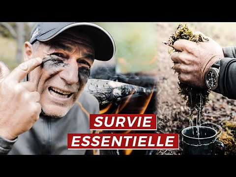 Vidéo: Comment Se Préparer Pour La Forêt