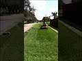 Cub Cadet Mowing Wide Open