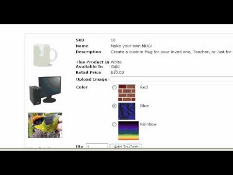 Ecommerce Add Enum Multi Select List Field - Websiteforge Ecommerce Website
